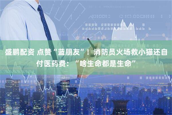 盛鹏配资 点赞“蓝朋友”！消防员火场救小猫还自付医药费：“啥生命都是生命”