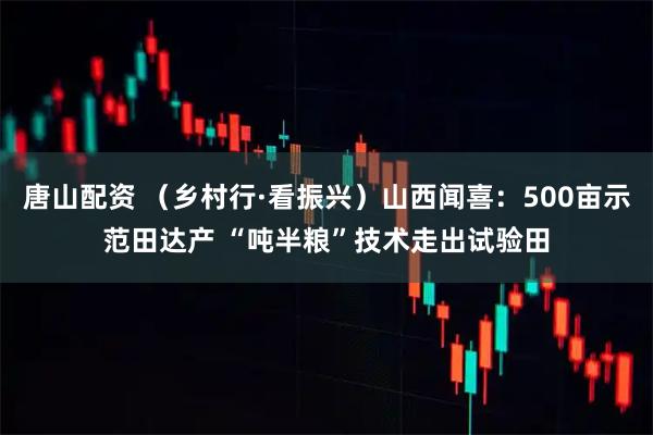 唐山配资 （乡村行·看振兴）山西闻喜：500亩示范田达产 “吨半粮”技术走出试验田