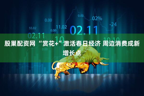 股巢配资网 “赏花+”激活春日经济 周边消费成新增长点