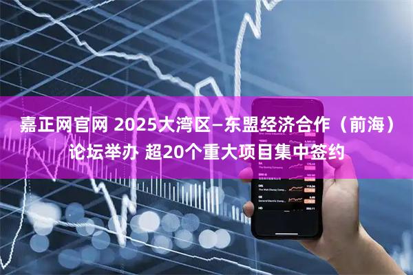 嘉正网官网 2025大湾区—东盟经济合作（前海）论坛举办 超20个重大项目集中签约