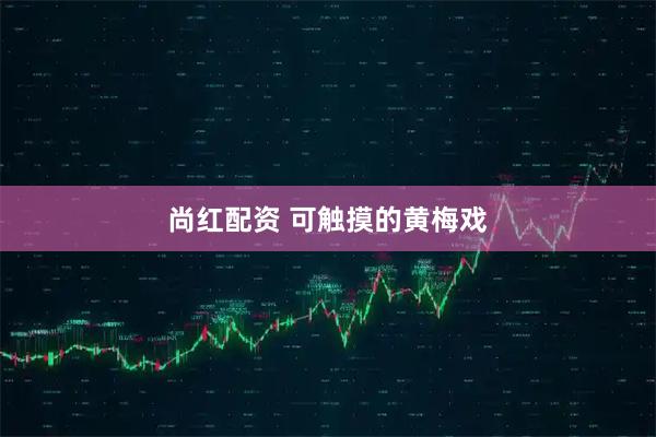 尚红配资 可触摸的黄梅戏