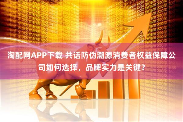 淘配网APP下载 共话防伪溯源消费者权益保障公司如何选择，品牌实力是关键？