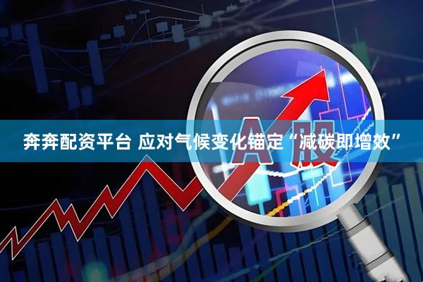 奔奔配资平台 应对气候变化锚定“减碳即增效”